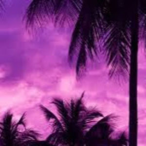 Meet your Posher, Bridgette